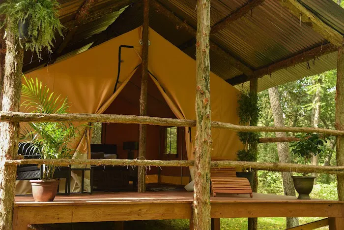 BigMount Glamping Picture 5