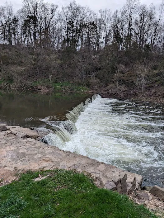 Campground Island Picture 2