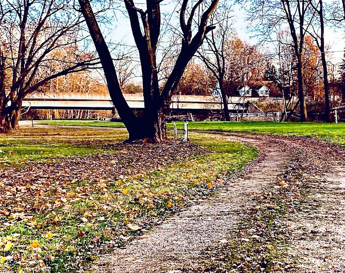 Campground Island Picture 6