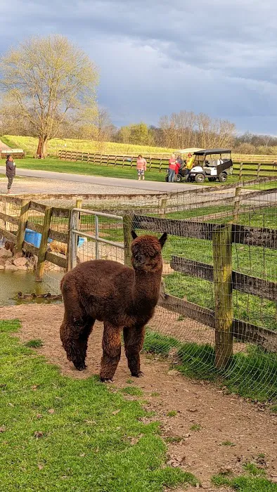 Thousand Trails Gettysburg Farm Picture 7