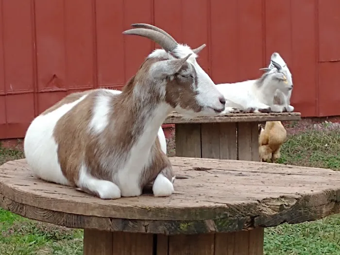 Thousand Trails Gettysburg Farm Picture 1