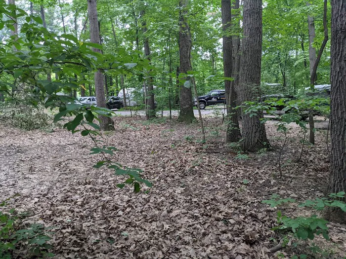 Codorus State Park Campground Picture 2