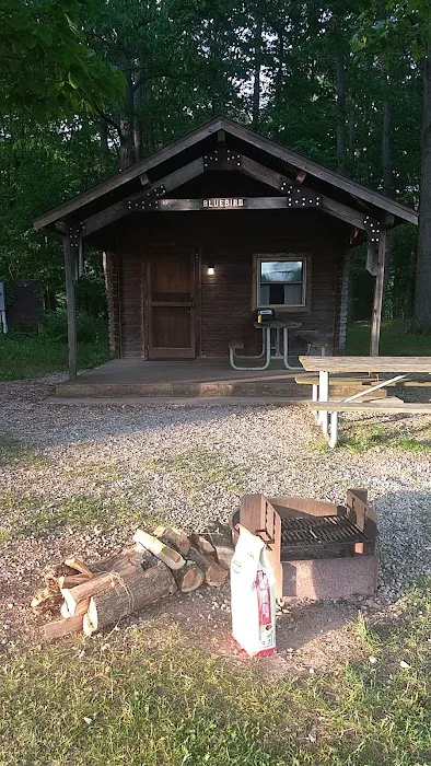 Bluebird Cottage Picture 4