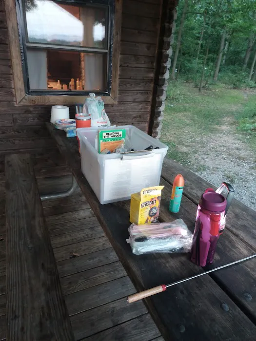 Bluebird Cottage Picture 3