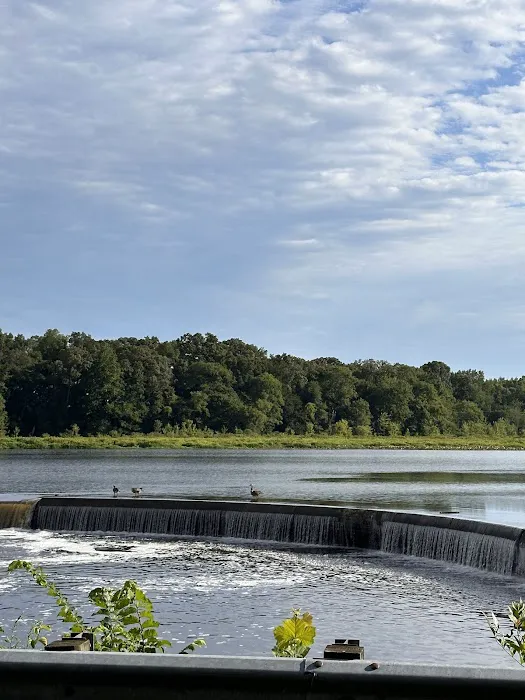 Tuckahoe State Park Campground Picture 7