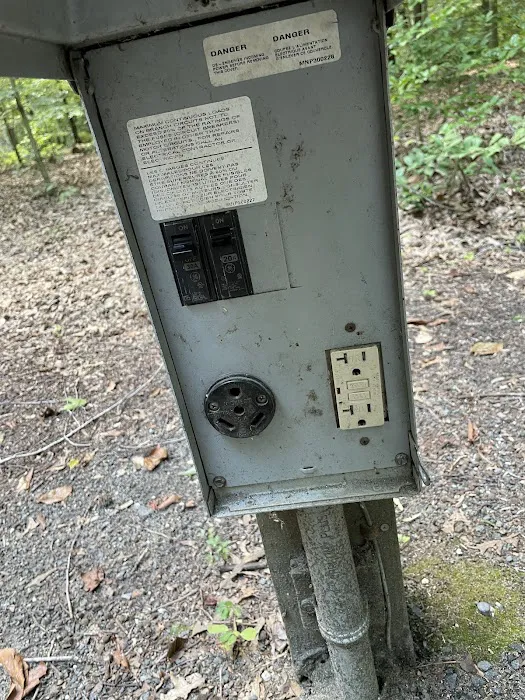 Tuckahoe State Park Campground Picture 5