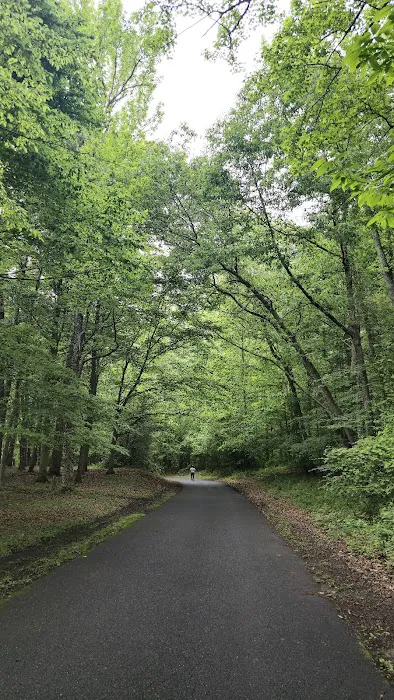 Tuckahoe State Park Campground Picture 8
