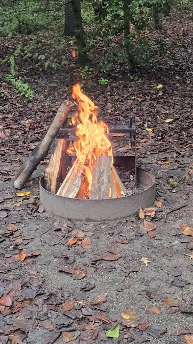 Tuckahoe State Park Campground Picture 9