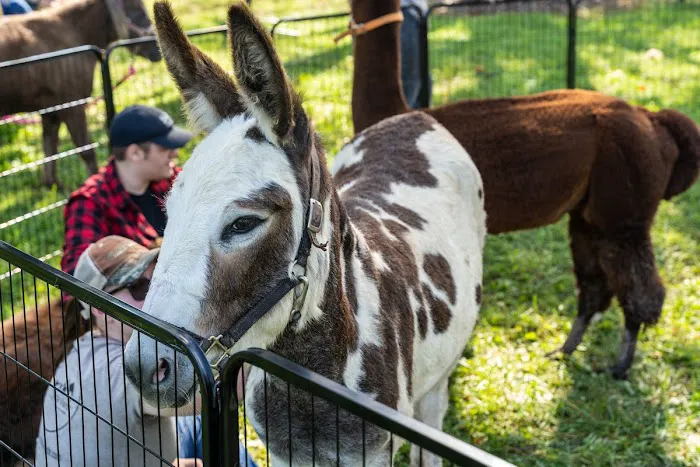 Huck and Buck Farm, LLC Picture 7