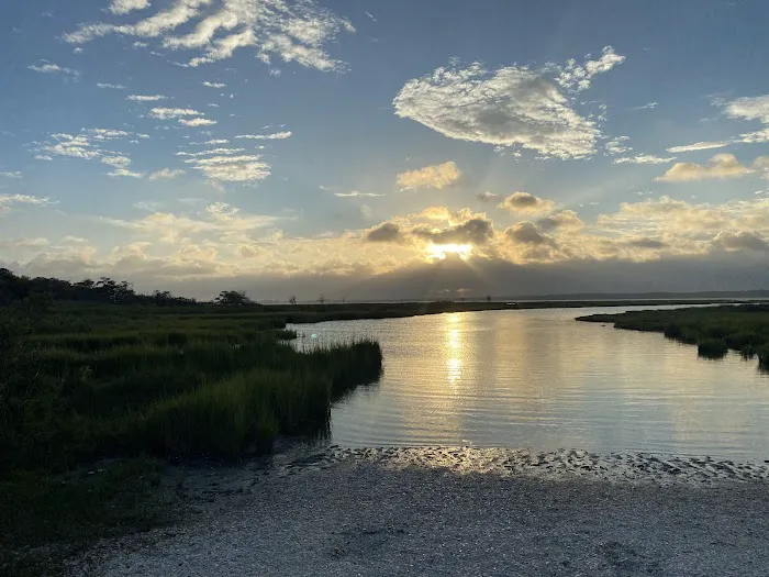 Assateague National Seashore Campground Picture 5