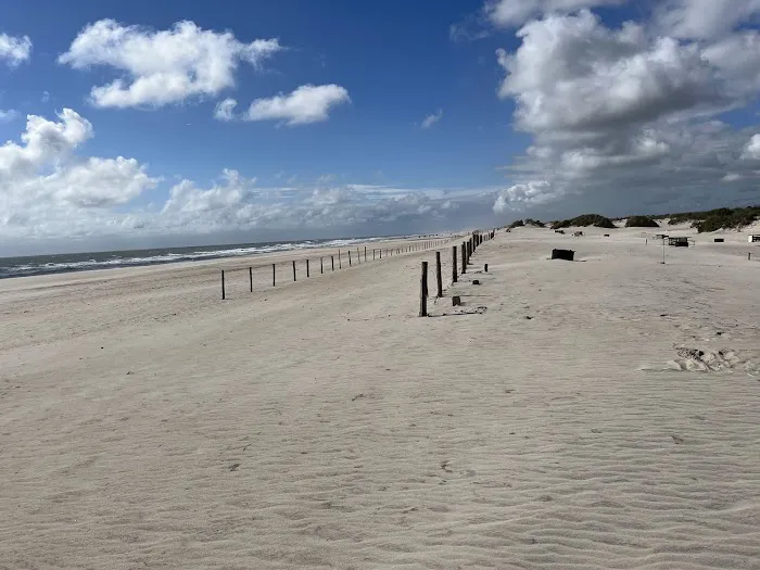 Assateague National Seashore Campground Picture 6
