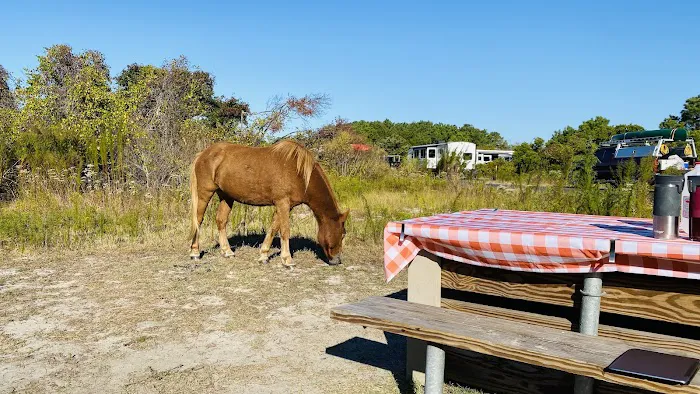 Bayside Drive-in Campground Picture 5