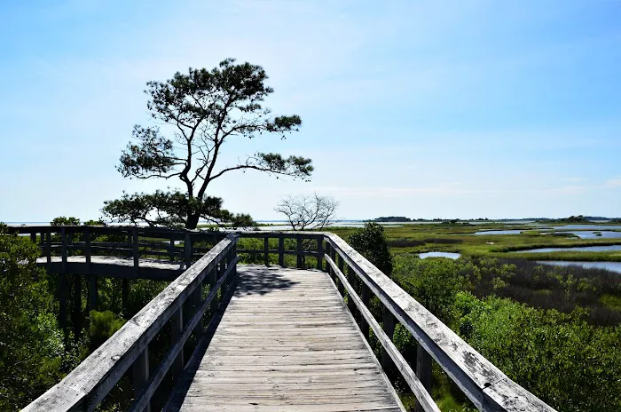 Bayside Drive-in Campground Picture 3