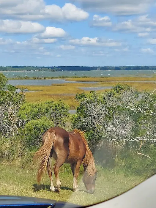 Bayside Drive-in Campground Picture 6
