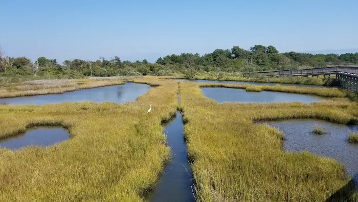 Bayside Drive-in Campground Picture 1