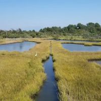 Bayside Drive-in Campground ico