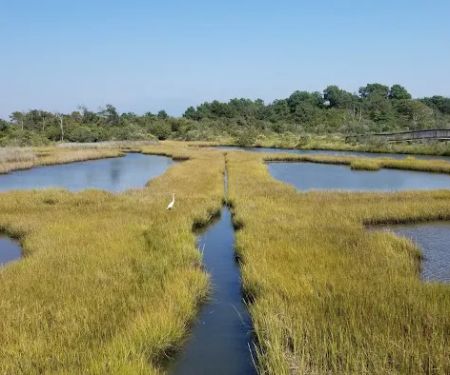 Bayside Drive-in Campground