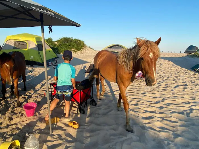 Oceanside Group Campground Picture 2