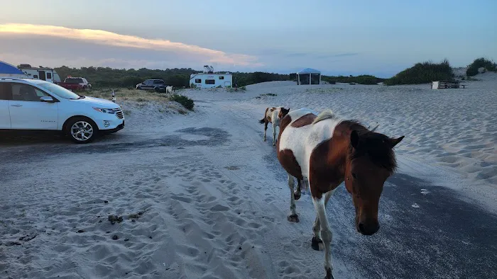 Oceanside Drive-In Campground Picture 1