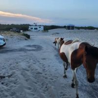 Oceanside Drive-In Campground ico