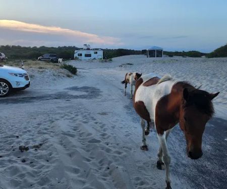 Oceanside Drive-In Campground