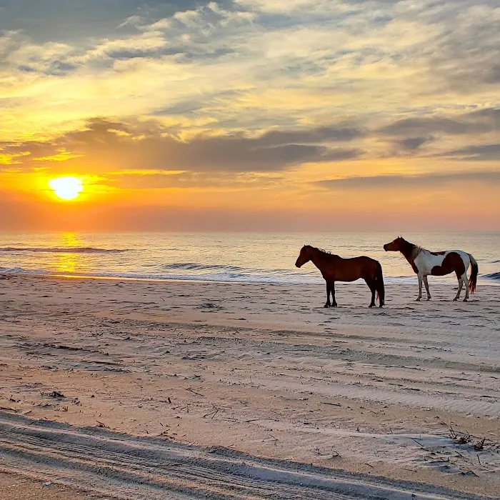 Oceanside Drive-In Campground Picture 5
