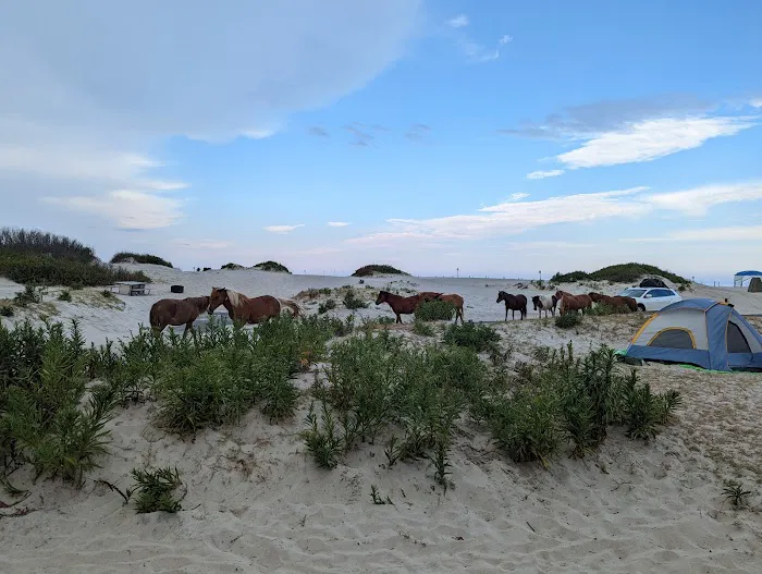 Oceanside Drive-In Campground Picture 4