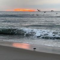 Oceanside Walk-In Campground ico