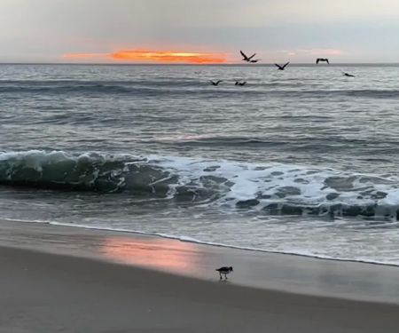 Oceanside Walk-In Campground