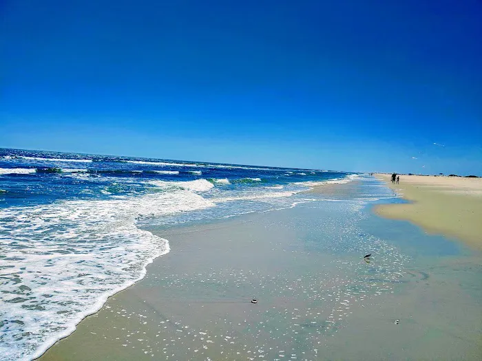 Oceanside Walk-In Campground Picture 4