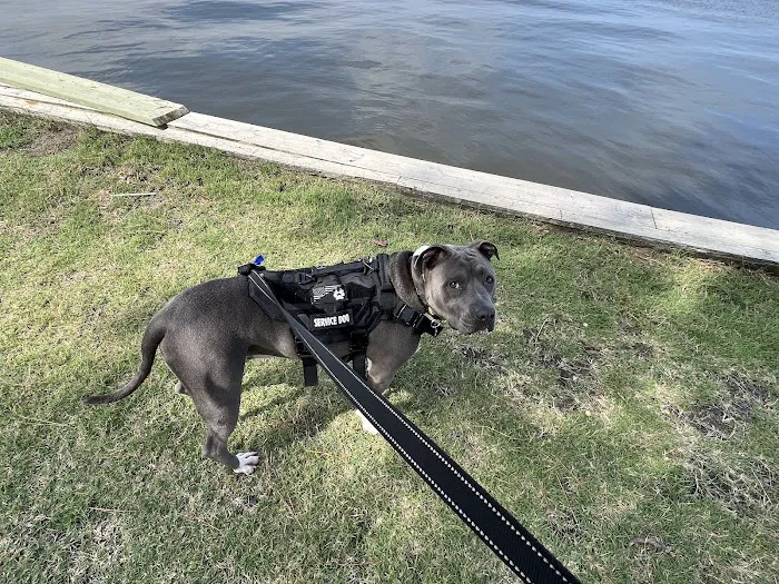 Sandy Hill Family Camp Picture 9