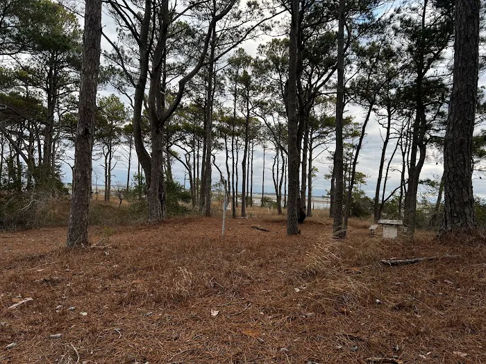 TIngles Island Camp, Assateague National Park Picture 8