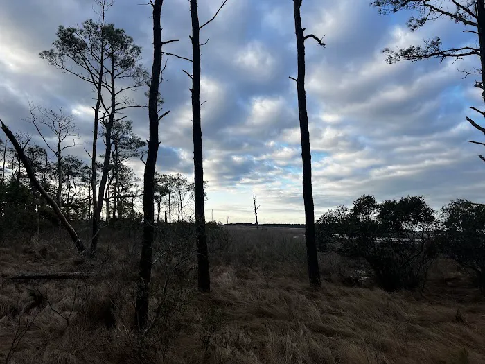 TIngles Island Camp, Assateague National Park Picture 5