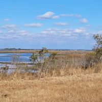 TIngles Island Camp, Assateague National Park ico