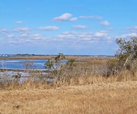 TIngles Island Camp, Assateague National Park