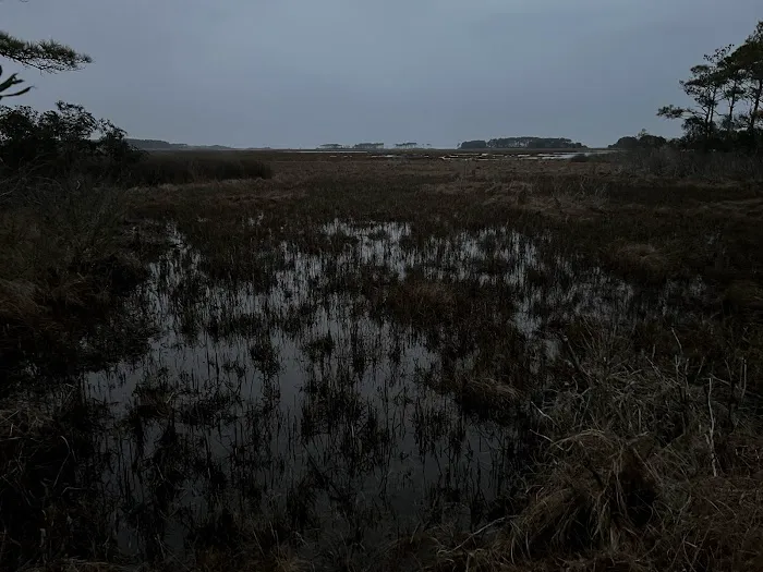 TIngles Island Camp, Assateague National Park Picture 7