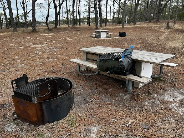 TIngles Island Camp, Assateague National Park Picture 10