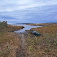 Back Country Camping-Tingles Island Campground ico