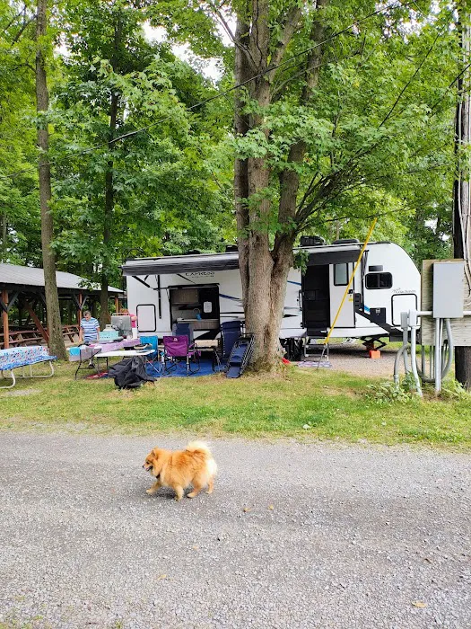 Sned-Acres Family Campground Picture 9