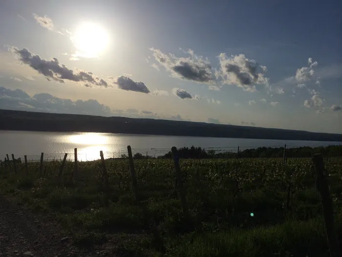 Peach Orchard Camp, Cabins and Rentals Picture 5