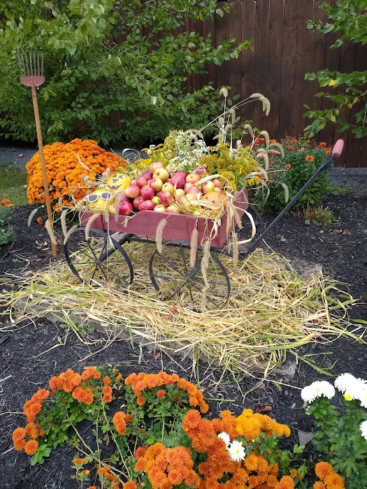 Sunset On Seneca Campsites Picture 5