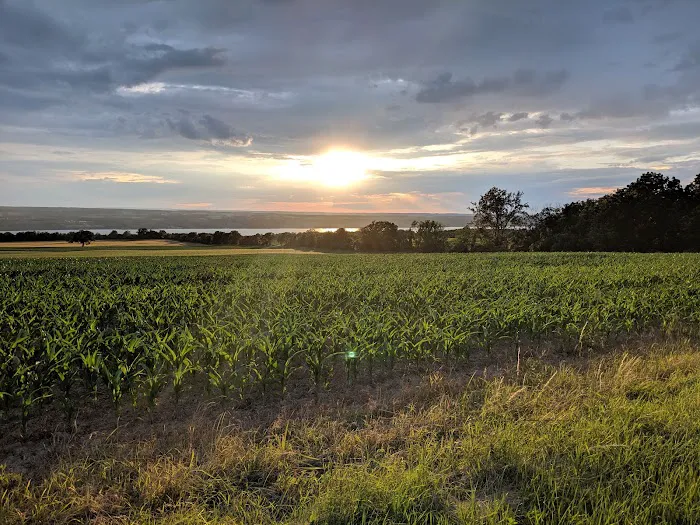 Sunset On Seneca Campsites Picture 8