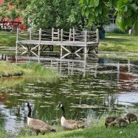 Paradise Park Campground ico