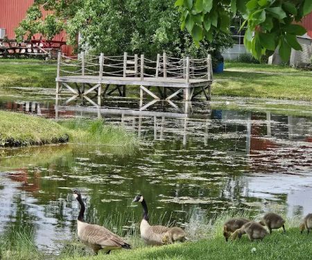 Paradise Park Campground