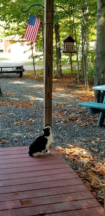 Paradise Park Campground Picture 5