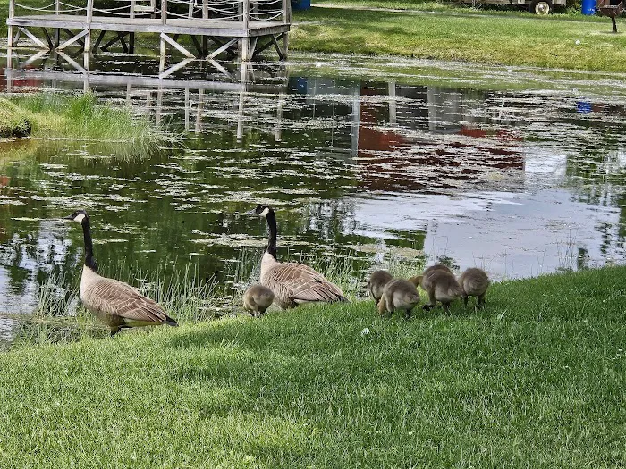 Paradise Park Campground Picture 8