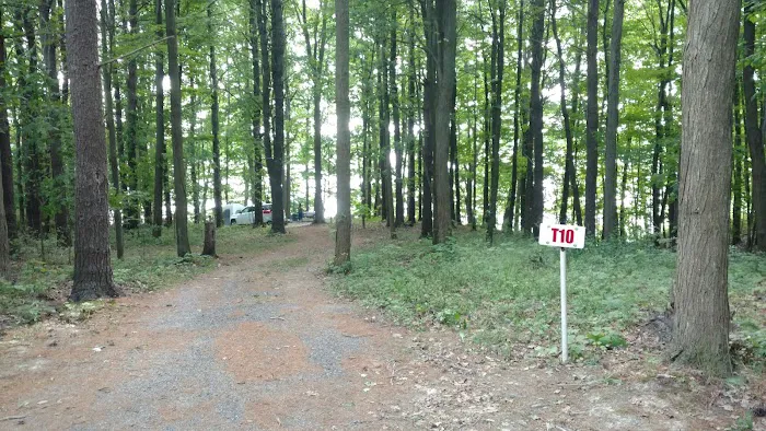 Back-Achers Campsite Picture 5