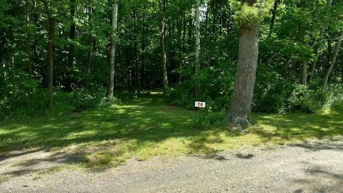 Back-Achers Campsite Picture 9