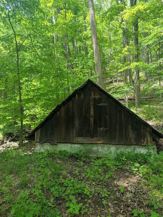 Tiadaghton Campground Picture 10