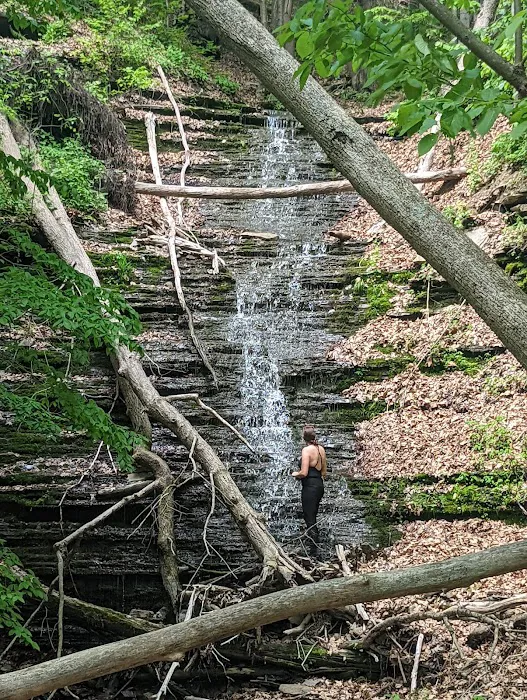 Tiadaghton Campground Picture 6